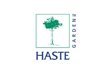 Haste International